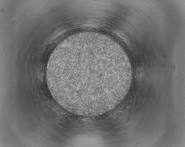 X0000088391015200706191327