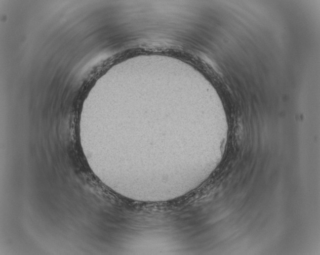 X0000088391016200706191327