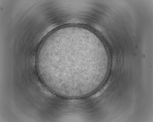 X0000088391017200706191327