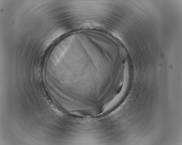 X0000088391018200706191327