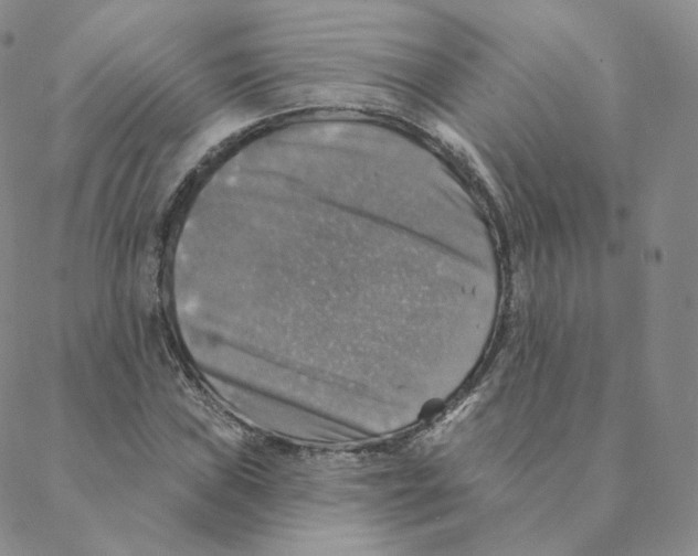 X0000088391019200706191327