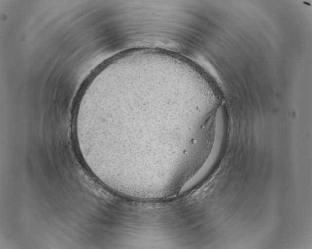 X0000088391020200706191327