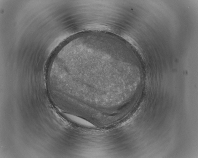 X0000088391022200706191327