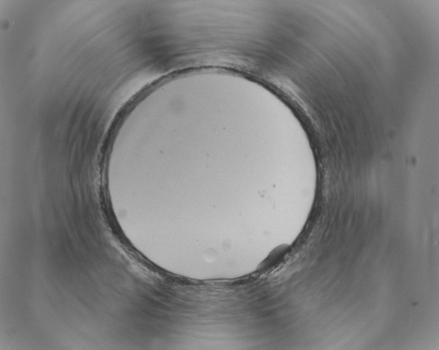 X0000088391024200706191327