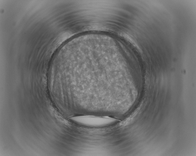 X0000088391025200706191327