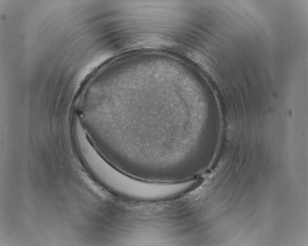 X0000088391026200706191327