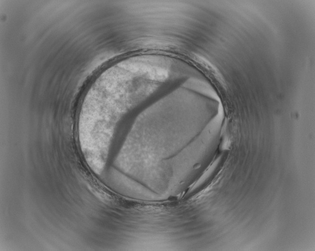 X0000088391027200706191327