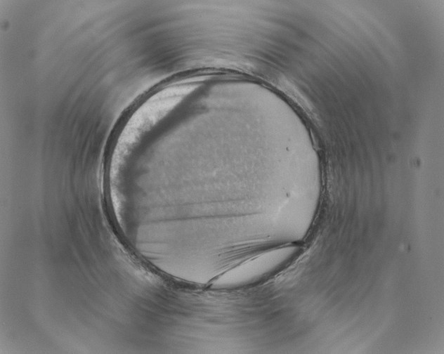 X0000088391028200706191327