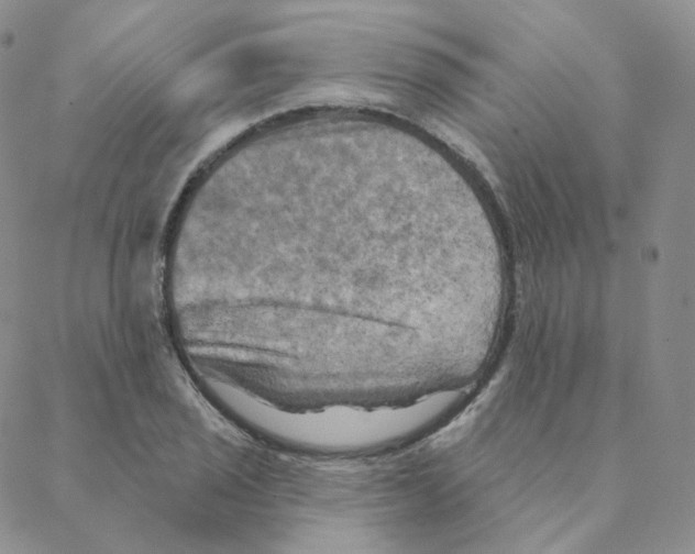 X0000088391029200706191327