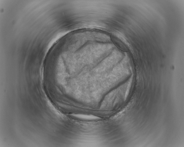 X0000088391032200706191327