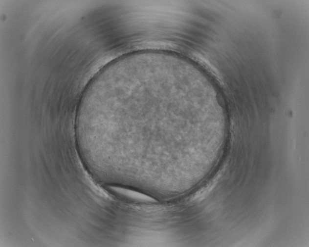 X0000088391033200706191327