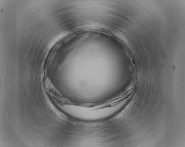 X0000088391034200706191327