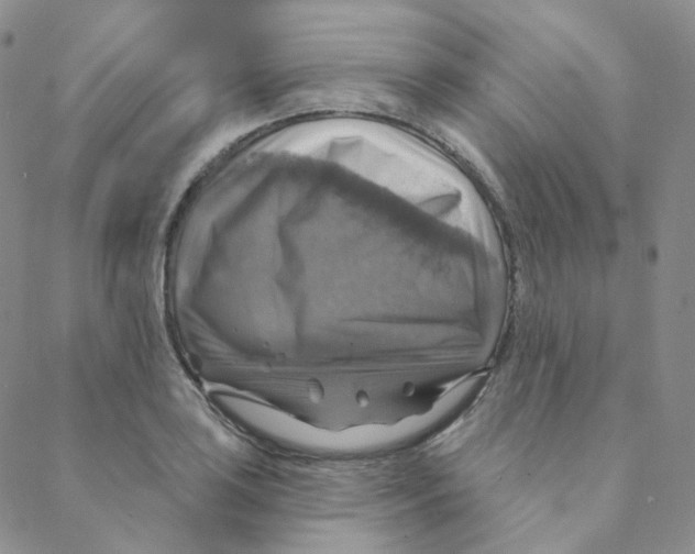 X0000088391035200706191328