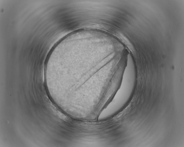 X0000088391036200706191328