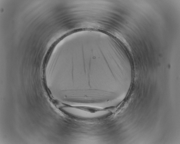 X0000088391037200706191328