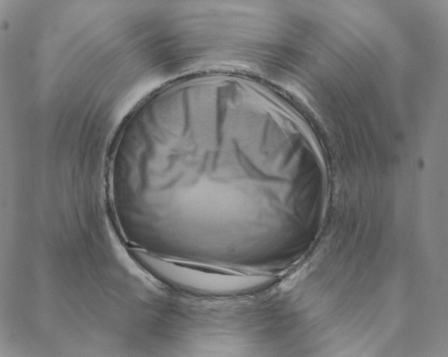 X0000088391038200706191328