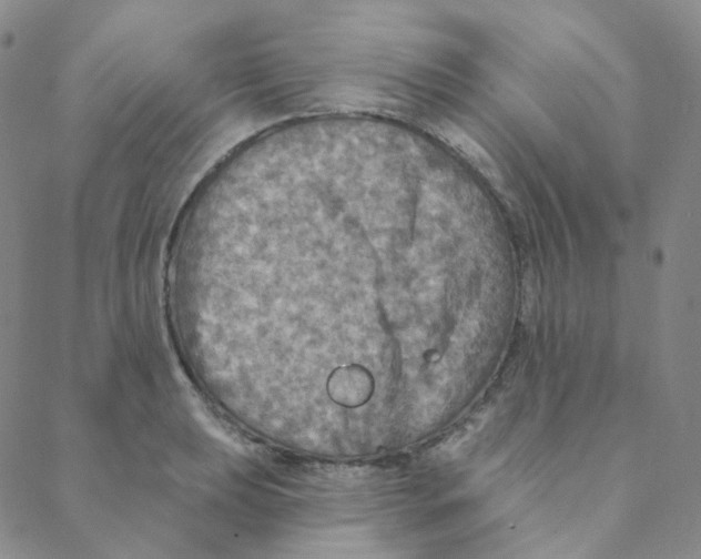 X0000088391039200706191328