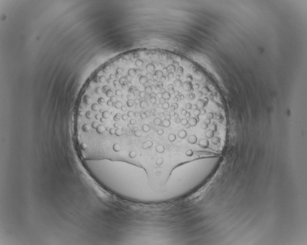 X0000088391040200706191328