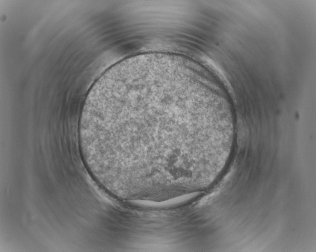 X0000088391041200706191328