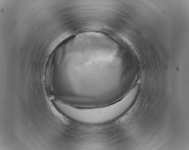 X0000088391042200706191328