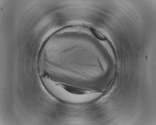 X0000088391045200706191328