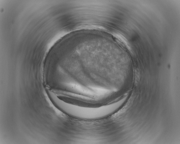 X0000088391046200706191328