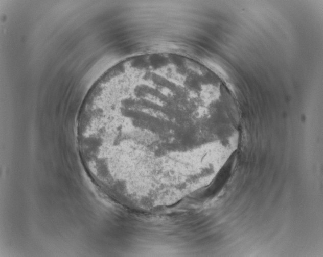 X0000088391047200706191328