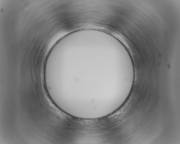 X0000088391048200706191328