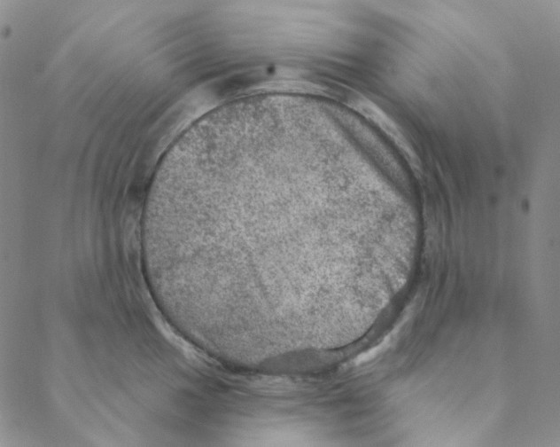 X0000088391049200706191328