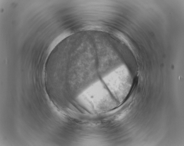 X0000088391050200706191328