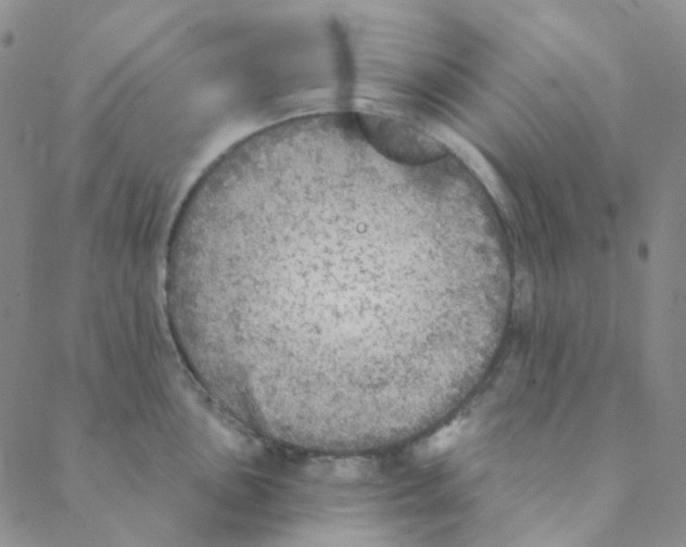 X0000088391051200706191328