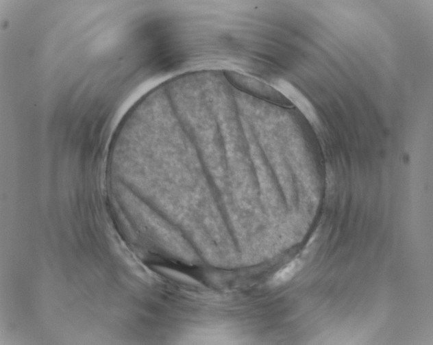 X0000088391052200706191328