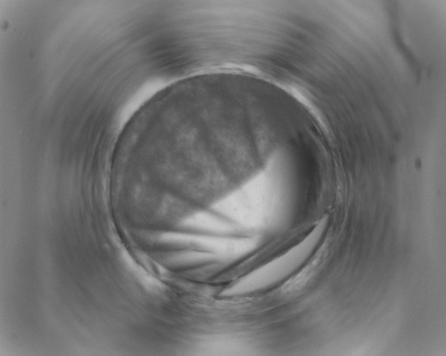 X0000088391054200706191328