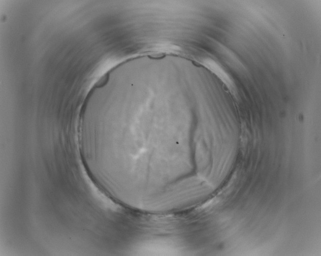 X0000088391055200706191328