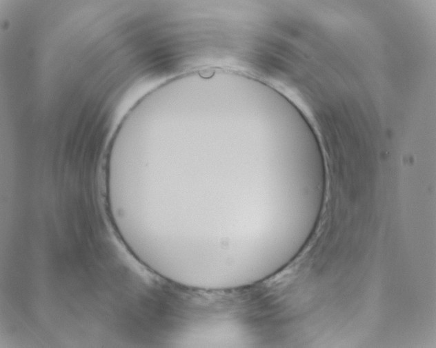 X0000088391056200706191328