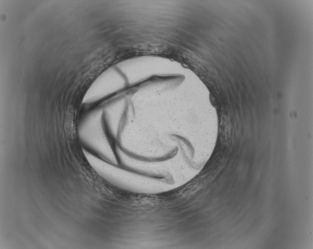 X0000088391058200706191327