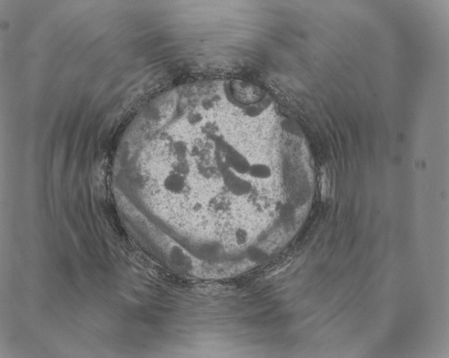 X0000088391059200706191327