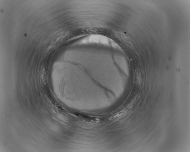 X0000088391060200706191327