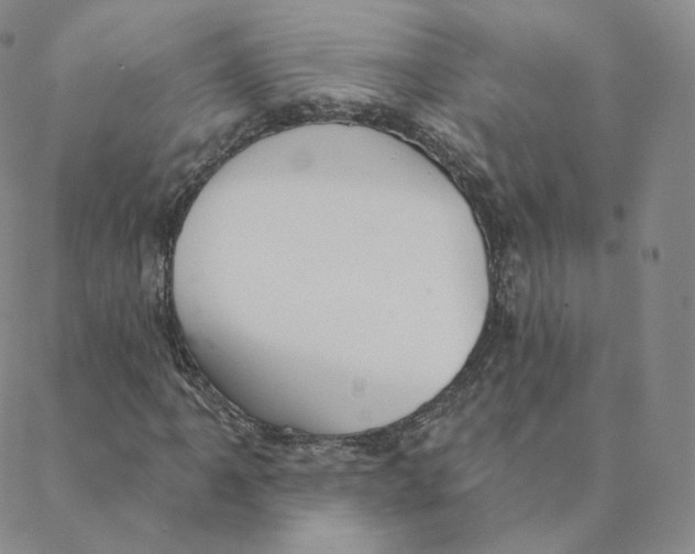 X0000088391061200706191327