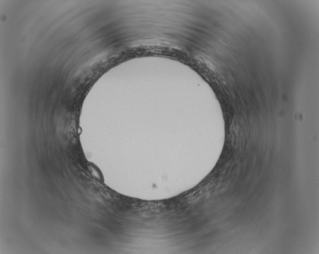 X0000088391062200706191327