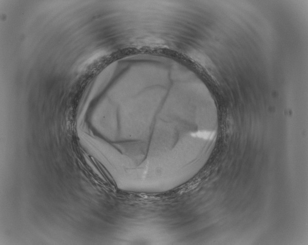 X0000088391063200706191327