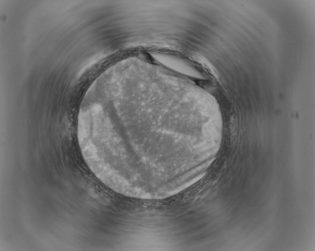 X0000088391064200706191327