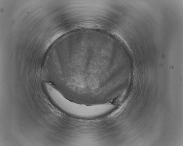 X0000088391065200706191327