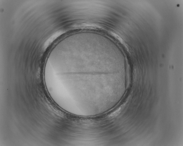 X0000088391066200706191327