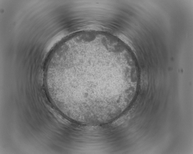 X0000088391067200706191327