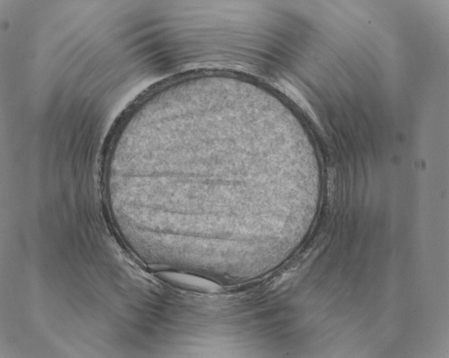 X0000088391068200706191327