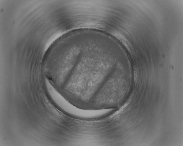 X0000088391069200706191327