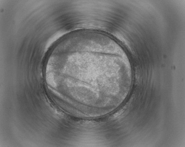 X0000088391070200706191327