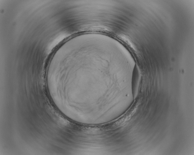 X0000088391071200706191327