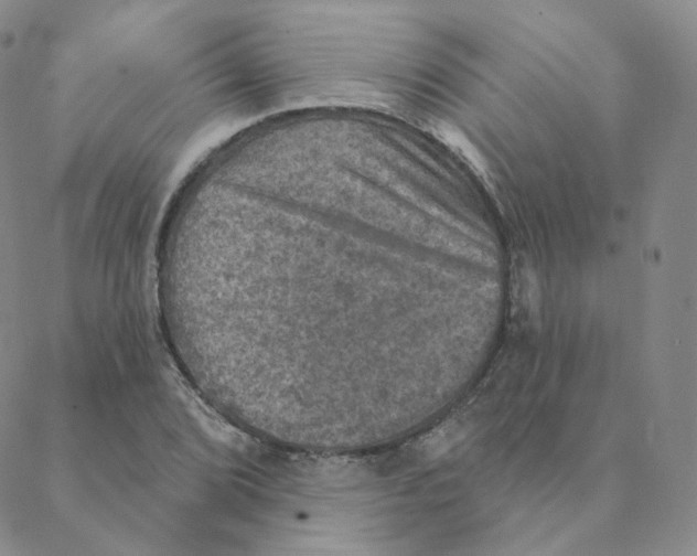 X0000088391072200706191327